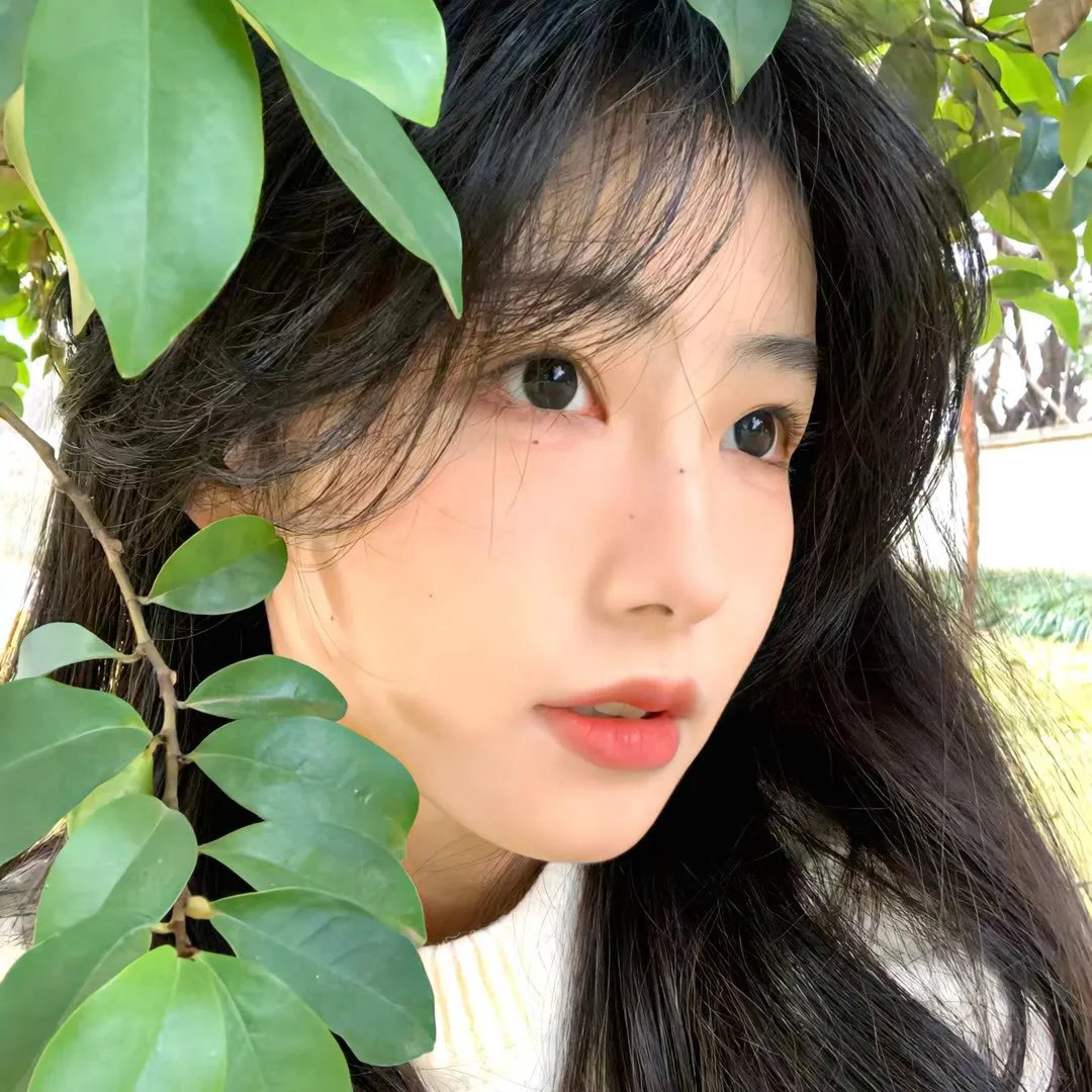 锦密令